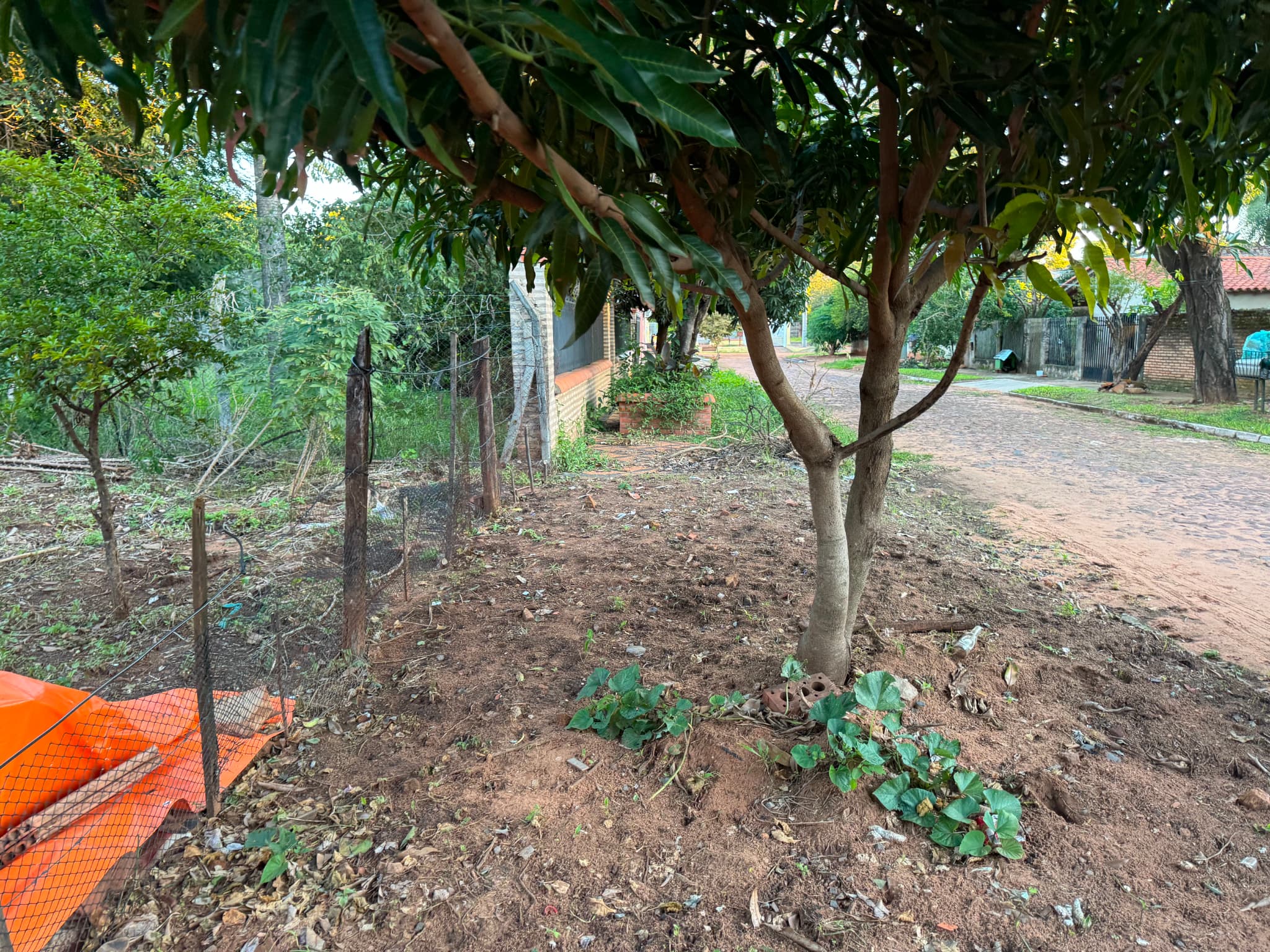 Terreno Titulado Con Opción A Construcción Vía Banco – 3