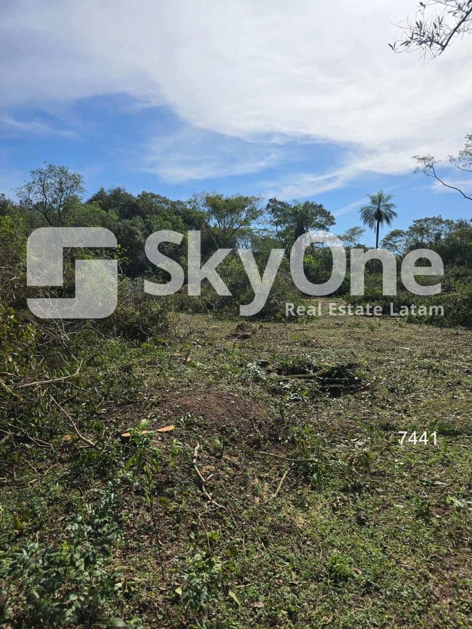 En venta terreno de 3 hectáreas en arroyos y esteros 37.500m2 – 3