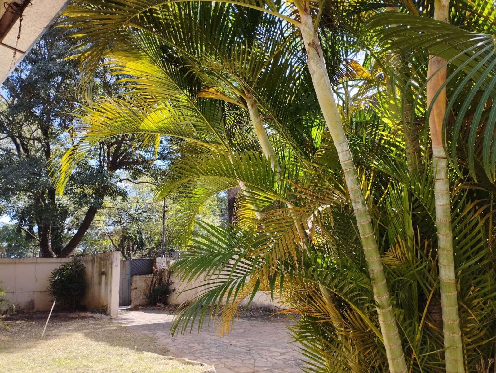 Vendo Sobre La Avda Gral Santos – 3