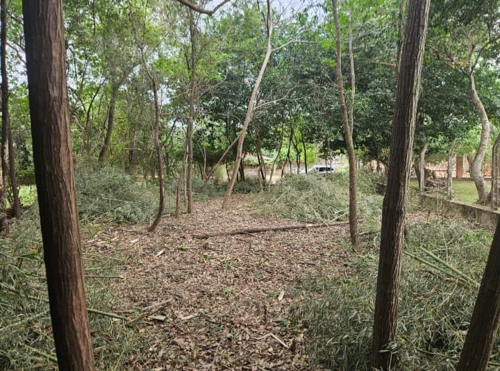 Venta de Terreno en San Bernardino – 2