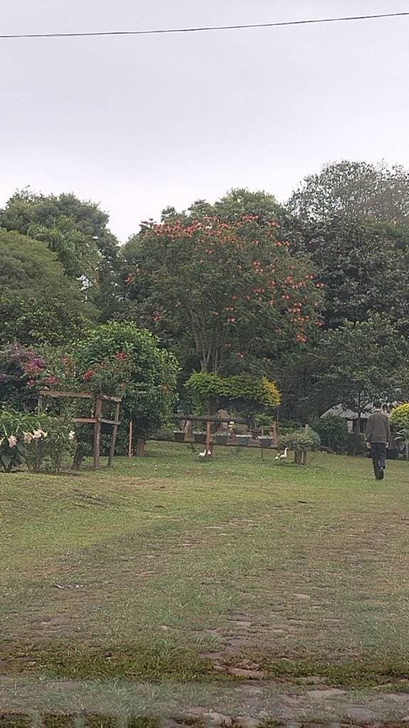 Propiedad en Arroyos y esteros de 56hectarias – 2