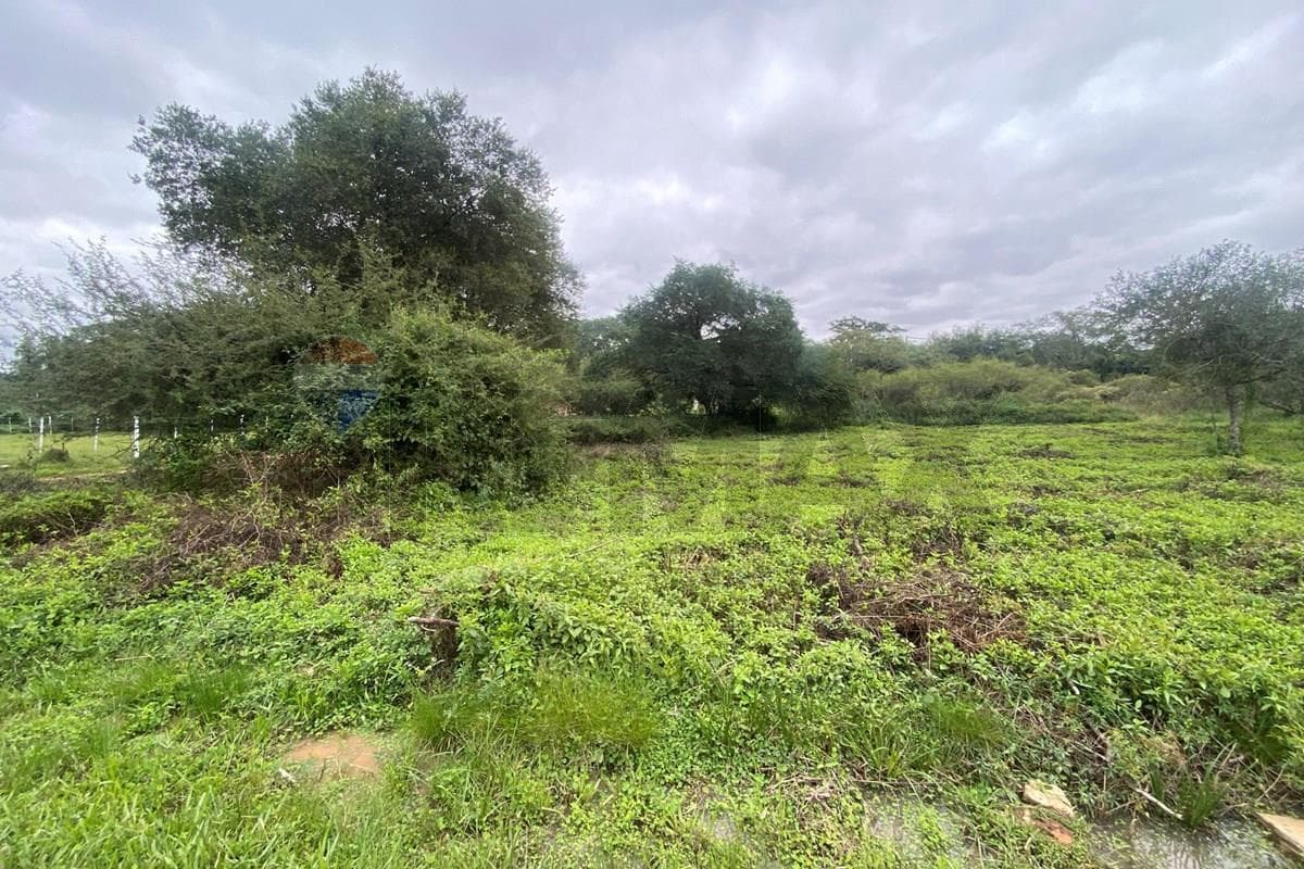 Terreno - Venta - Luque, Central, Paraguay – 2
