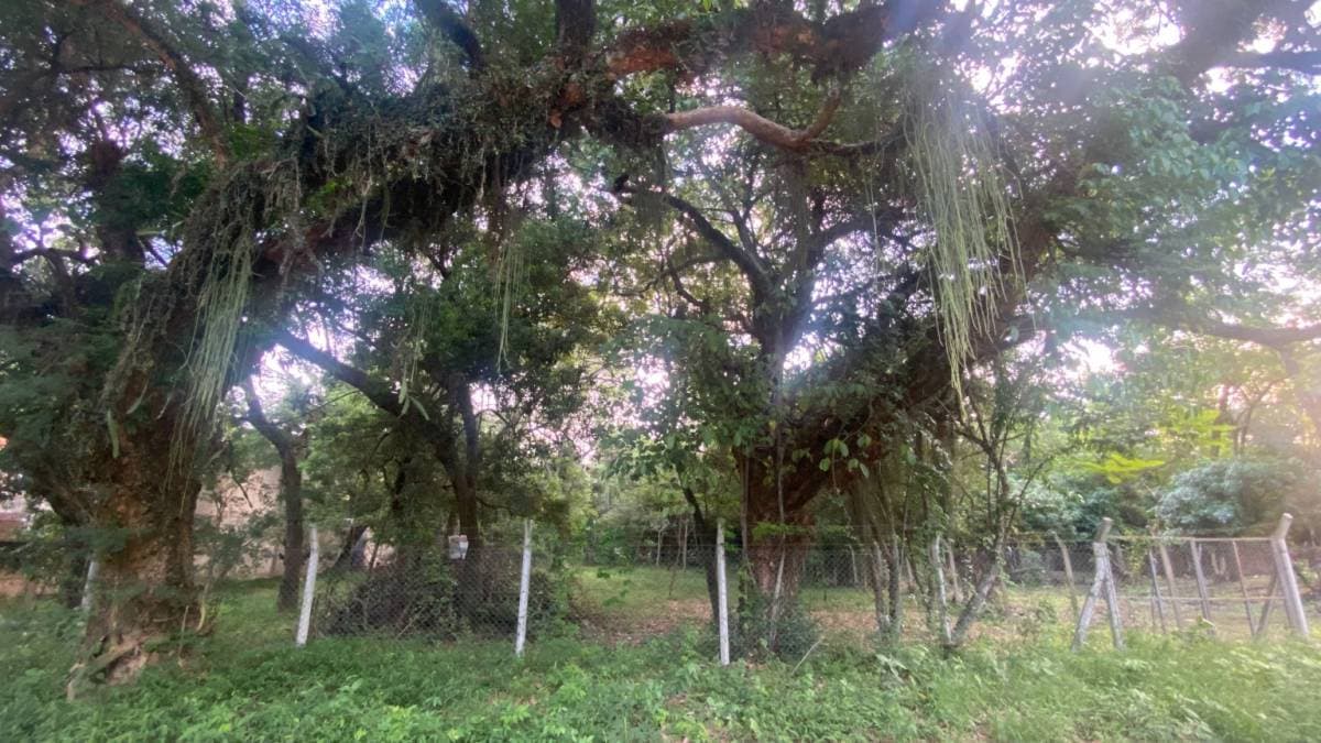 VENDO TERRENO CON ARROYO EN SANBER – 3