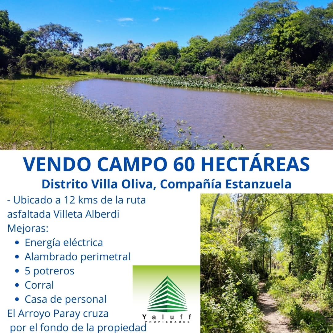 CAMPO EN ESTANZUELA VILLA OLIVA DE 60 HAS PARA GANADERÍA