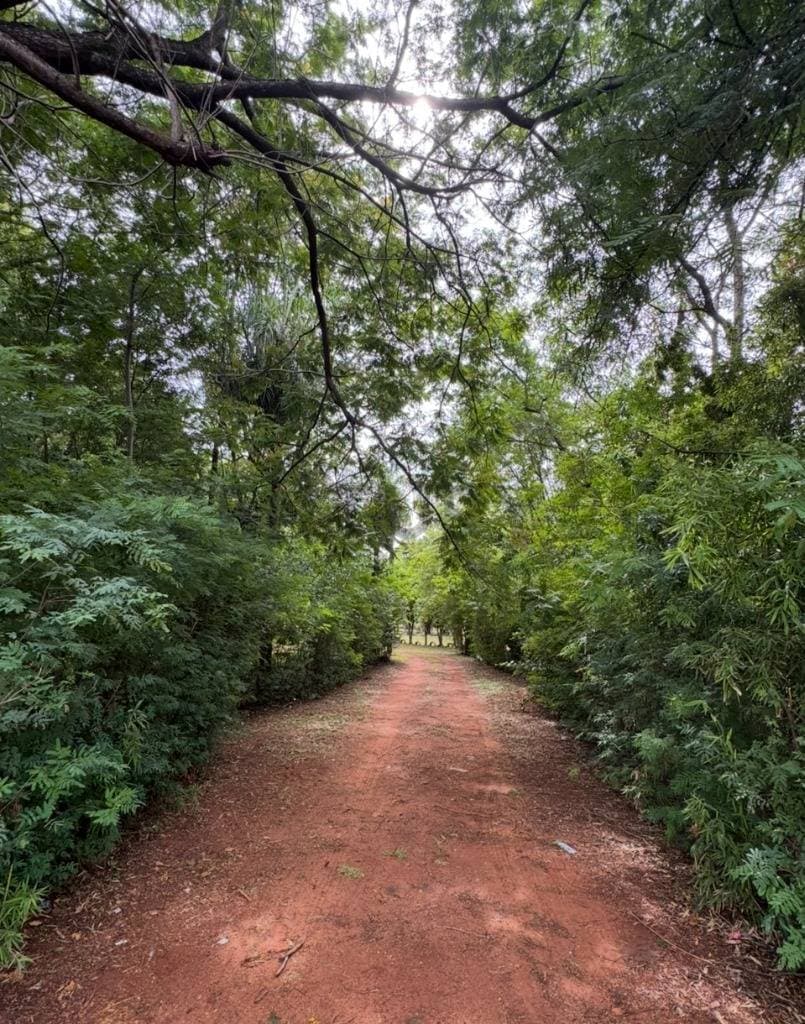 EN VENTA – Terreno De 9.661 m² Con Salida A 3 Calles En Luque – 3