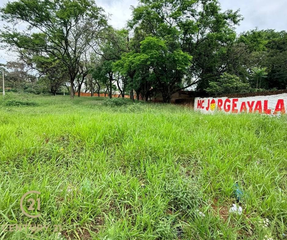 VENDO TERRENO SOBRE LAGUNA GRANDE – 3