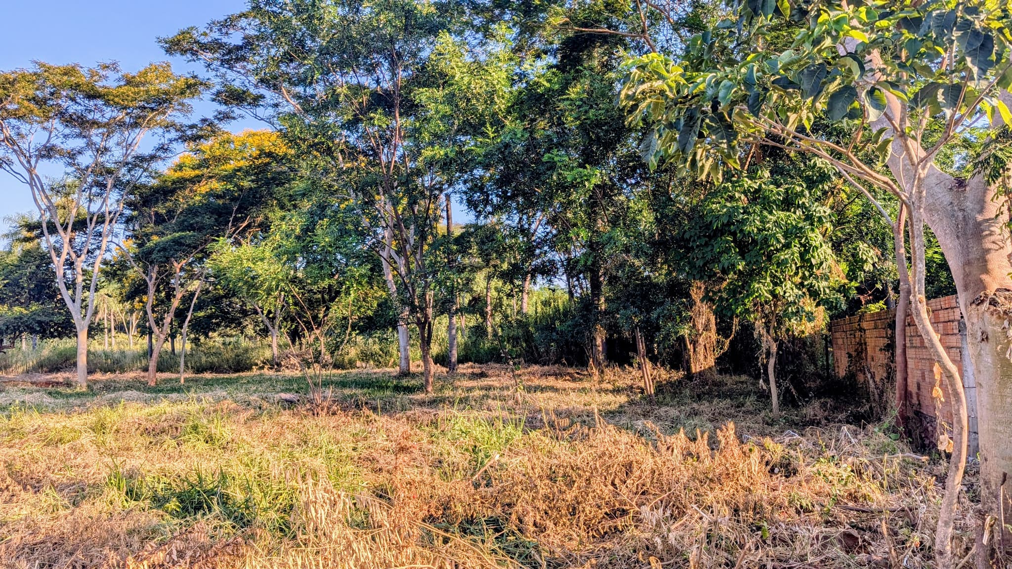 VENDO TERRENO EN ESQUINA EN LIMPIO - B° ISLA ARANDA – 2