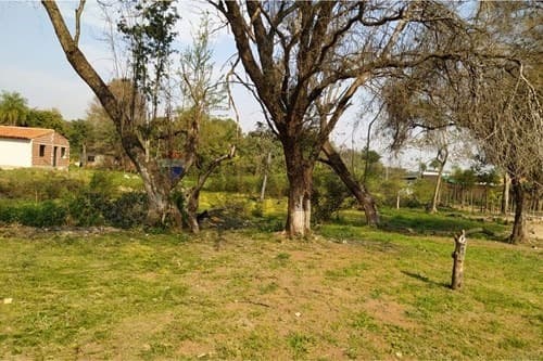 Vendo Terreno En Luque - Mora Kue – 2