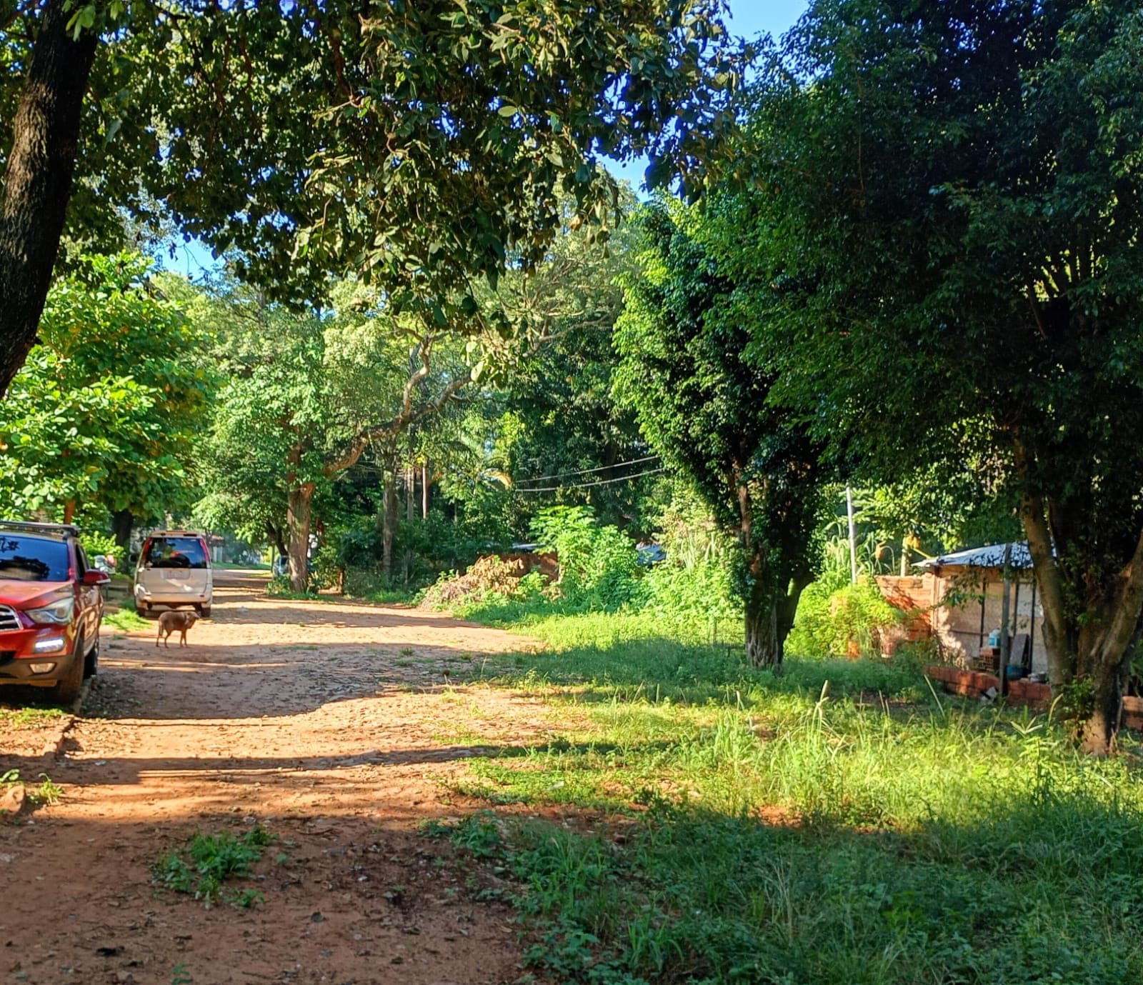 Vendo Terreno En Luque – 3