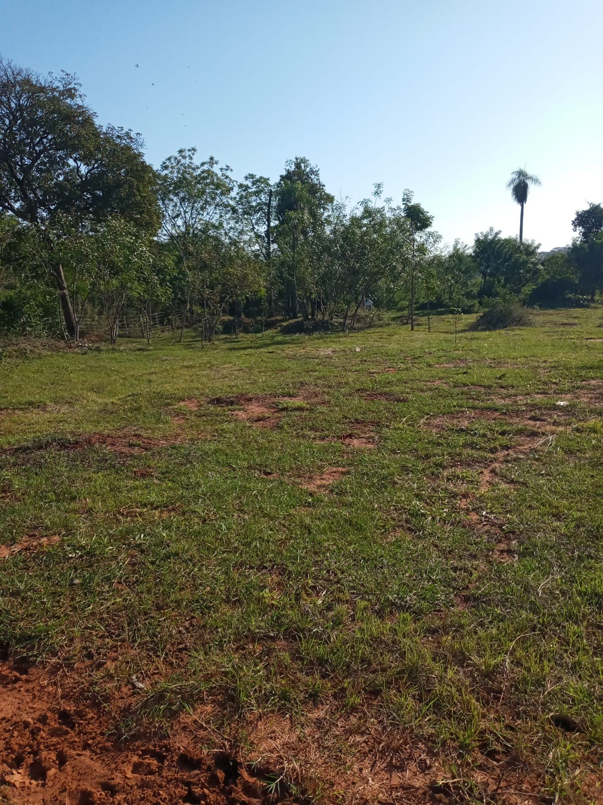 Luque Mora Cue 32.221m2 Cerca Fabrica Amandau – 3