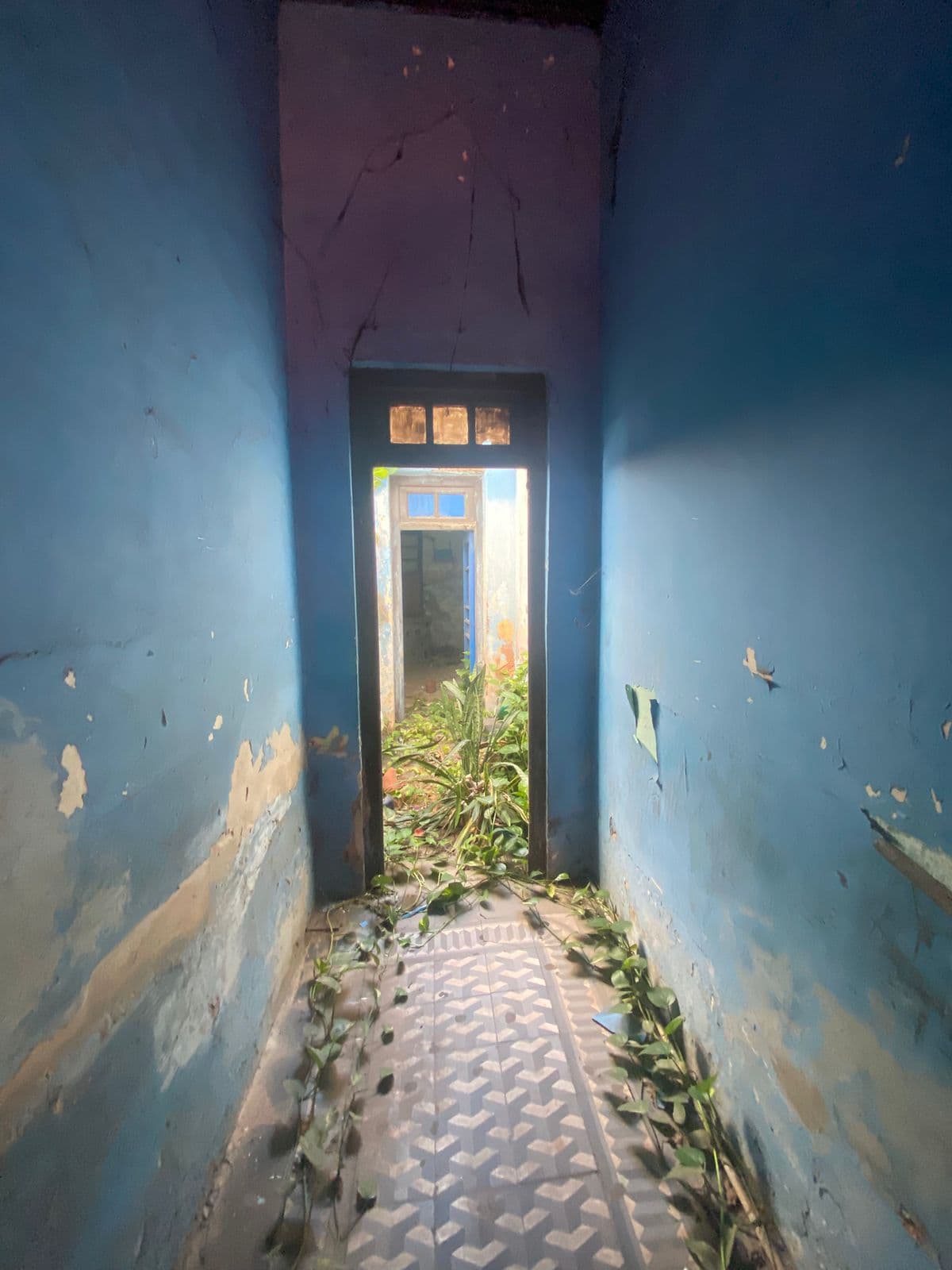 Inmueble en el Micro Centro de Asunción - Oliva e/ Hernandarias y Colón – 3