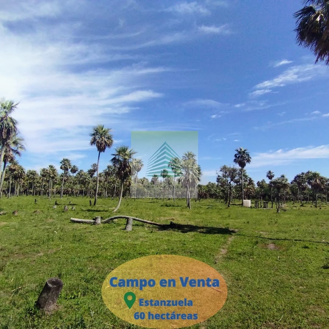 CAMPO EN ESTANZUELA VILLA OLIVA DE 60 HAS PARA GANADERÍA – 3