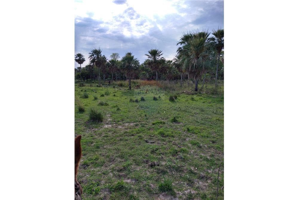 VENDO 353 HECTAREAS EN VILLA OLIVA S.H.Y