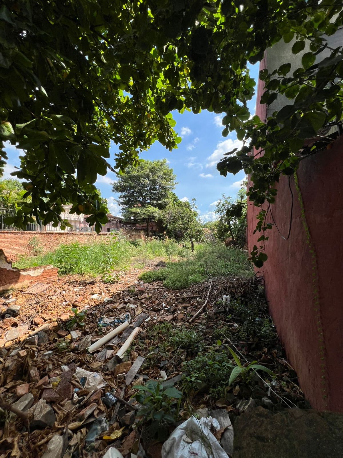 TERRENO EN VENTA LAMBARÉ‼️ – 3