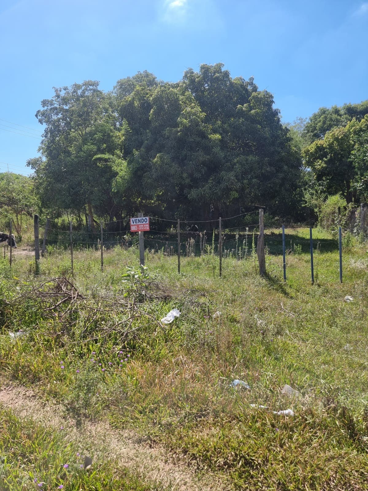 Terreno En Venta, Zona Isla Aranda De Limpio – 2