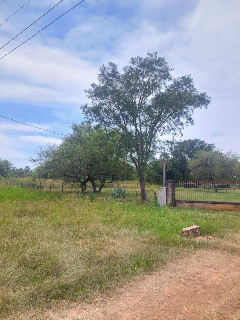 EN VENTA PROPIEDAD DE 41 HA!! ZONA VILLETA – 3