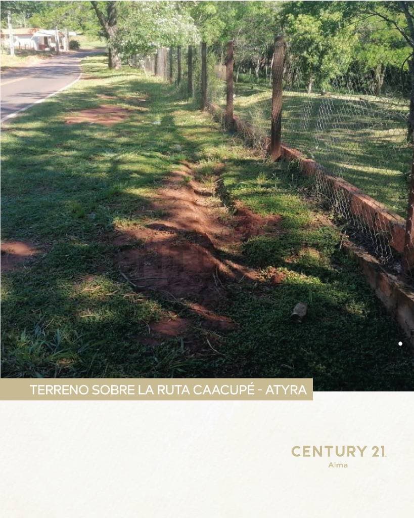 Venta de Estancia/Ganadera en Caacupé, Cordillera – 2