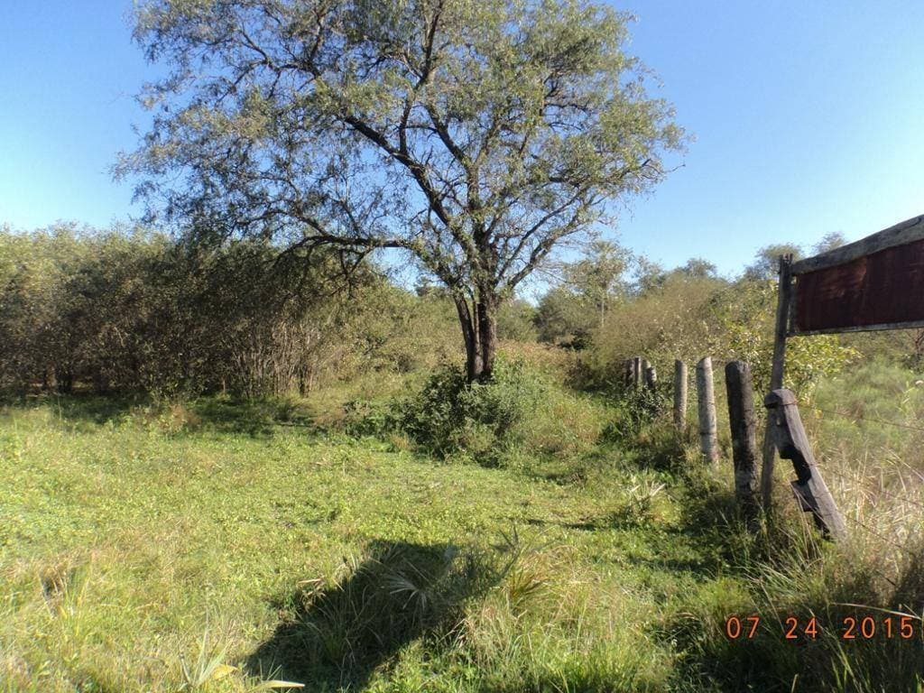 EN VENTA VALIOSA PROPIEDAD SOBRE RUTA PY12 – 2
