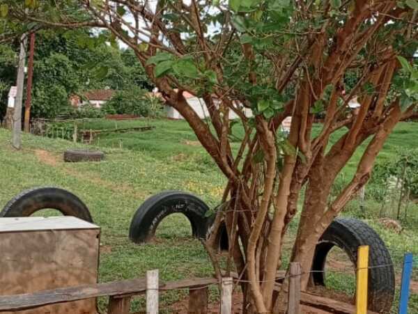 TERRENO DE 3 HECTÁREAS EN ZONA ESTRATÉGICA DE LUQUE