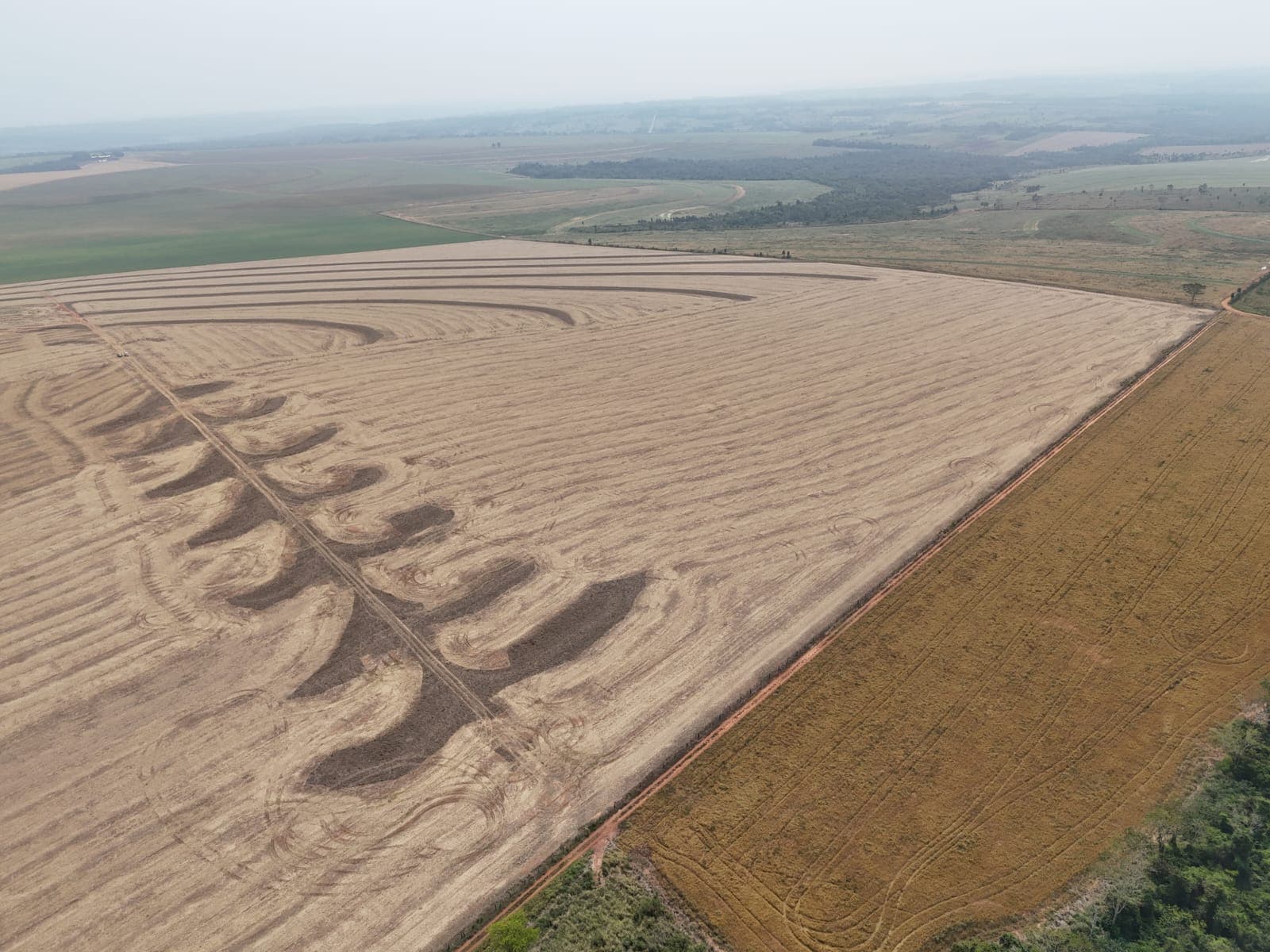 Gran oportunidad en el campo. – 3