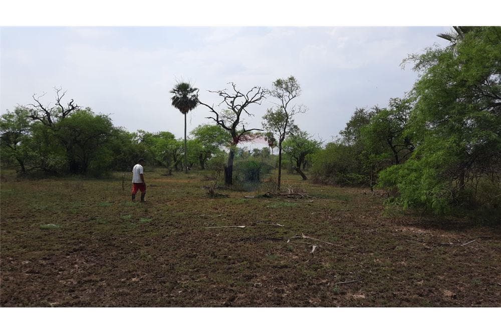 EN VENTA 50 HECTAREAS EN JOSE FALCON PRESIDENTE HAYES – 3