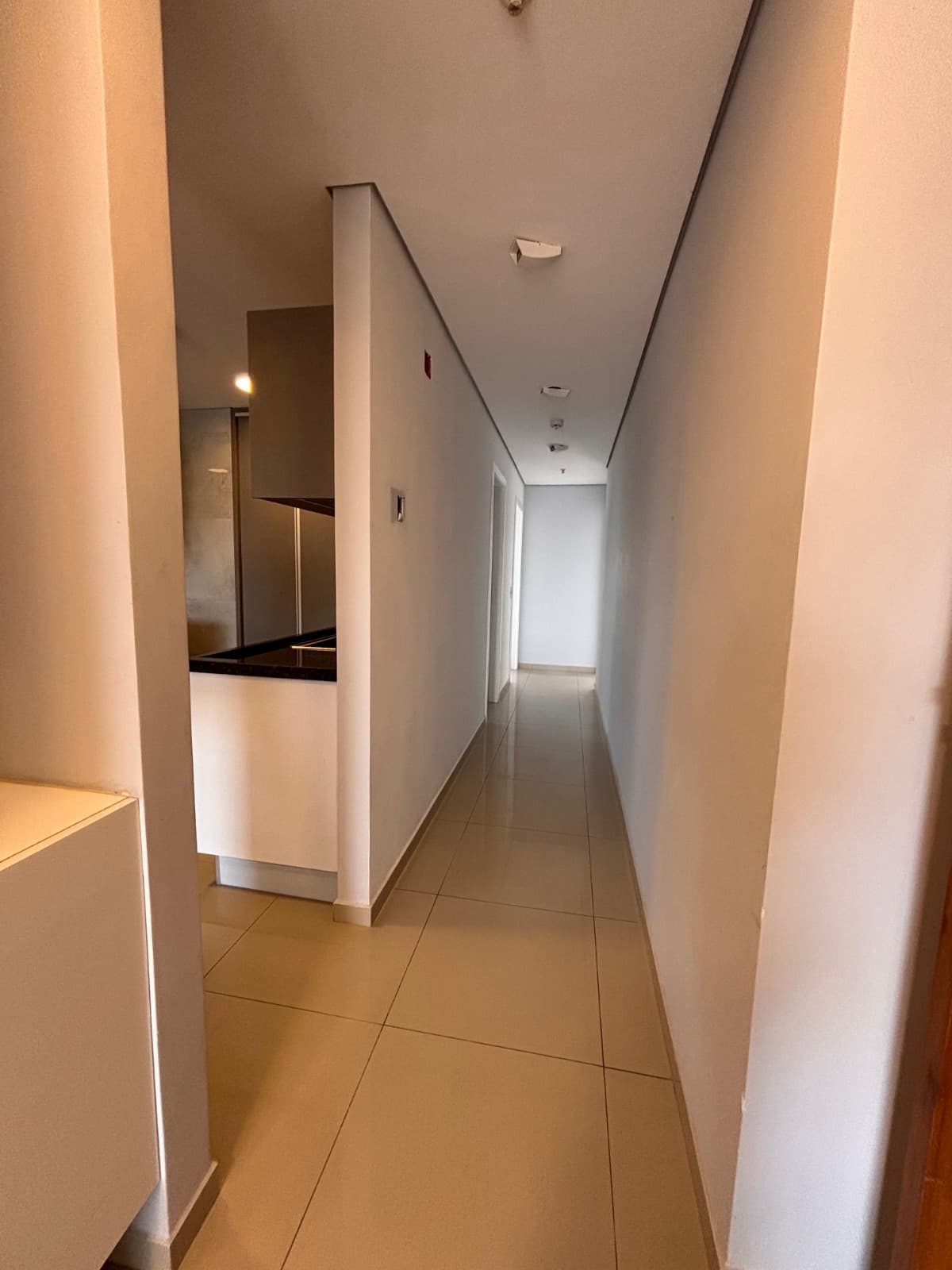 ALQUILO DEPARTAMENTO DE 2 HABITACIONES - BARRIO HERRERA – 3