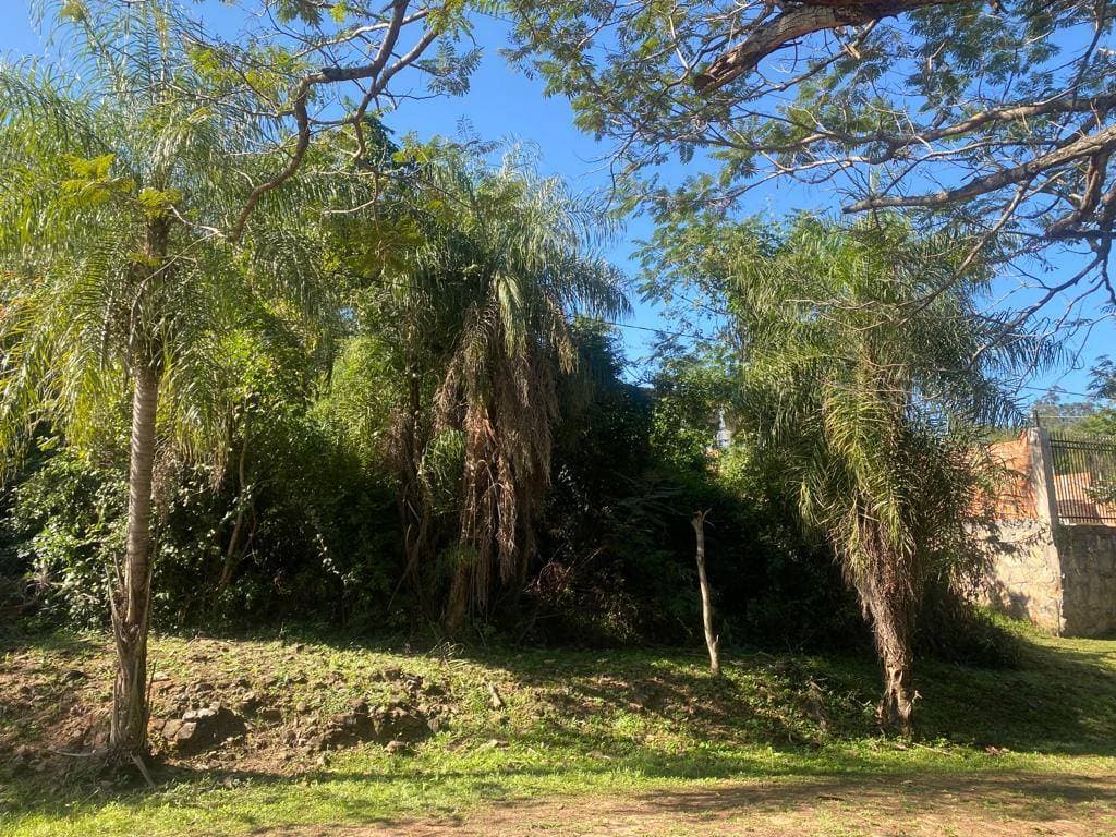 Vendo 2 terrenos con vista al lago en la Suiza del Norte – 3