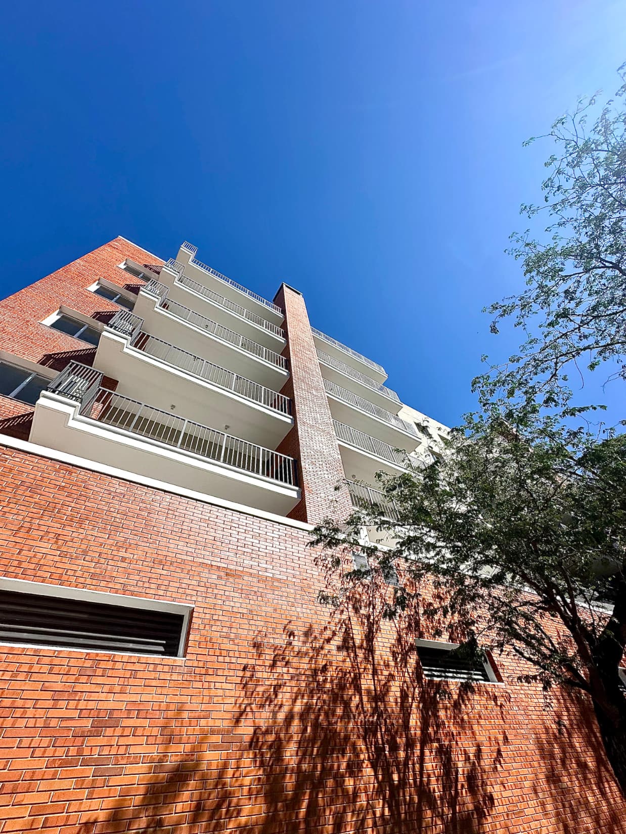 DEPARTAMENTO ALQUILER LOMA PYTA – 2