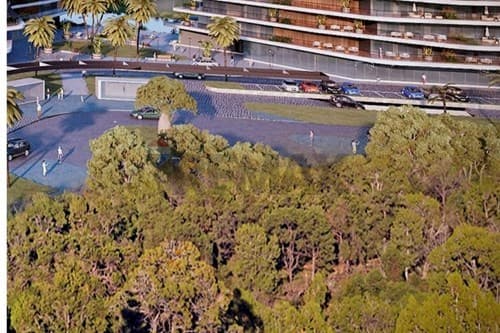 Terreno Residencial de 343 m² en el Prestigioso Barrio Recoleta de Asunción