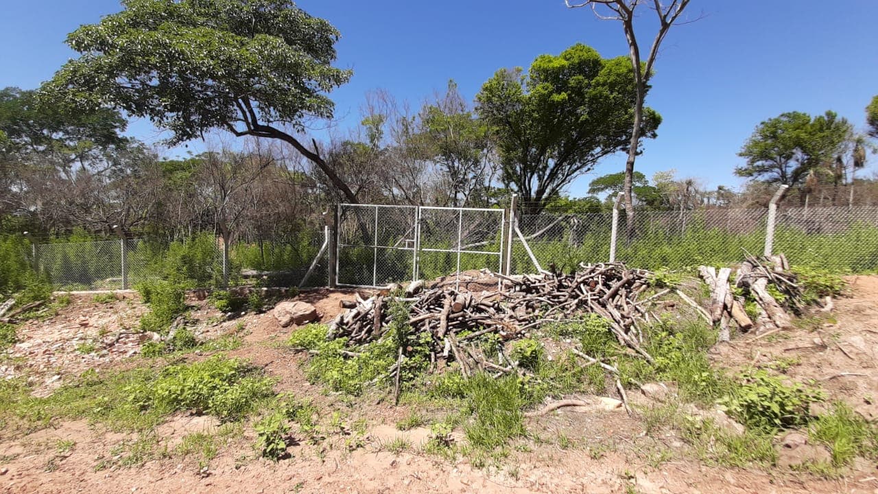Terrenos en San Bernardino: Lotes de 1.300 m² – Zona Cristóbal Colón – 3