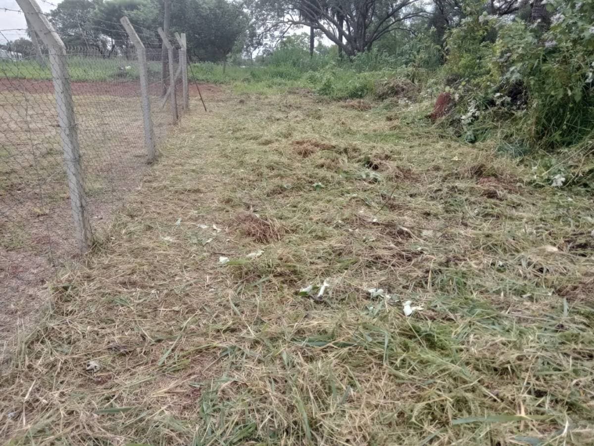 EN VENTA !! IMPORTANTE PROPIEDAD EN LUQUE CAÑADA GARAY!! – 3
