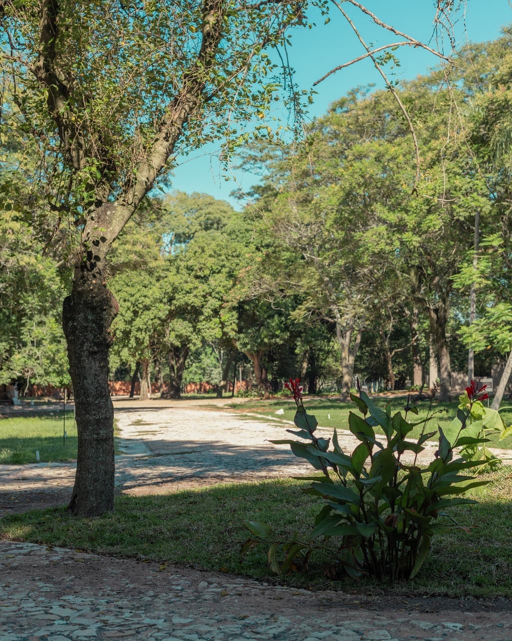 SAN BER terrenos desde 28130 Us, Mejor Precio de Lotes en todo San Ber – 2