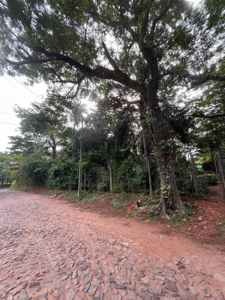 EN VENTA – Terreno De 5.510 m² Sobre Av. Von Poleski, Villa Elisa – 2