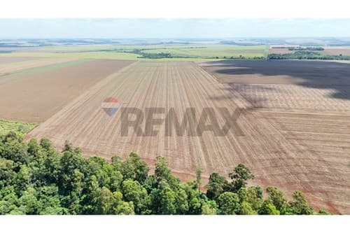 Vendo Terreno de 78 hectáreas en Santa Rita ideal para lotear o industriales – 3