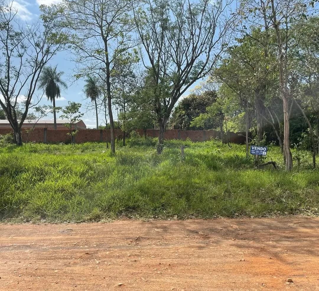 Vendo Terreno En Mariano Roque Alonso