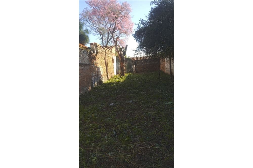 Terreno - Venta - Sajonia, Paraguay – 2