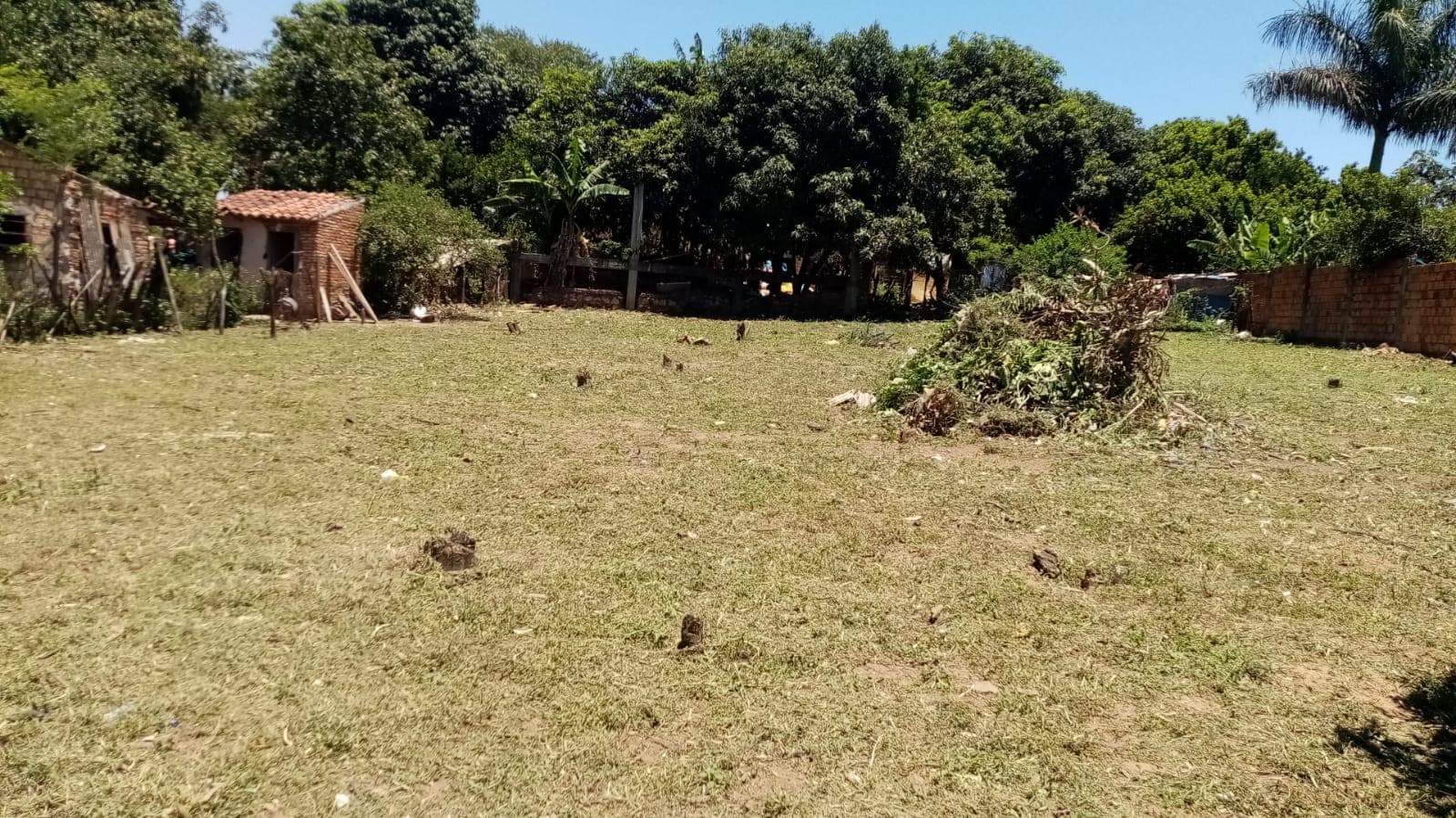 VENDO TERRENOS EN SAN ANTONIO