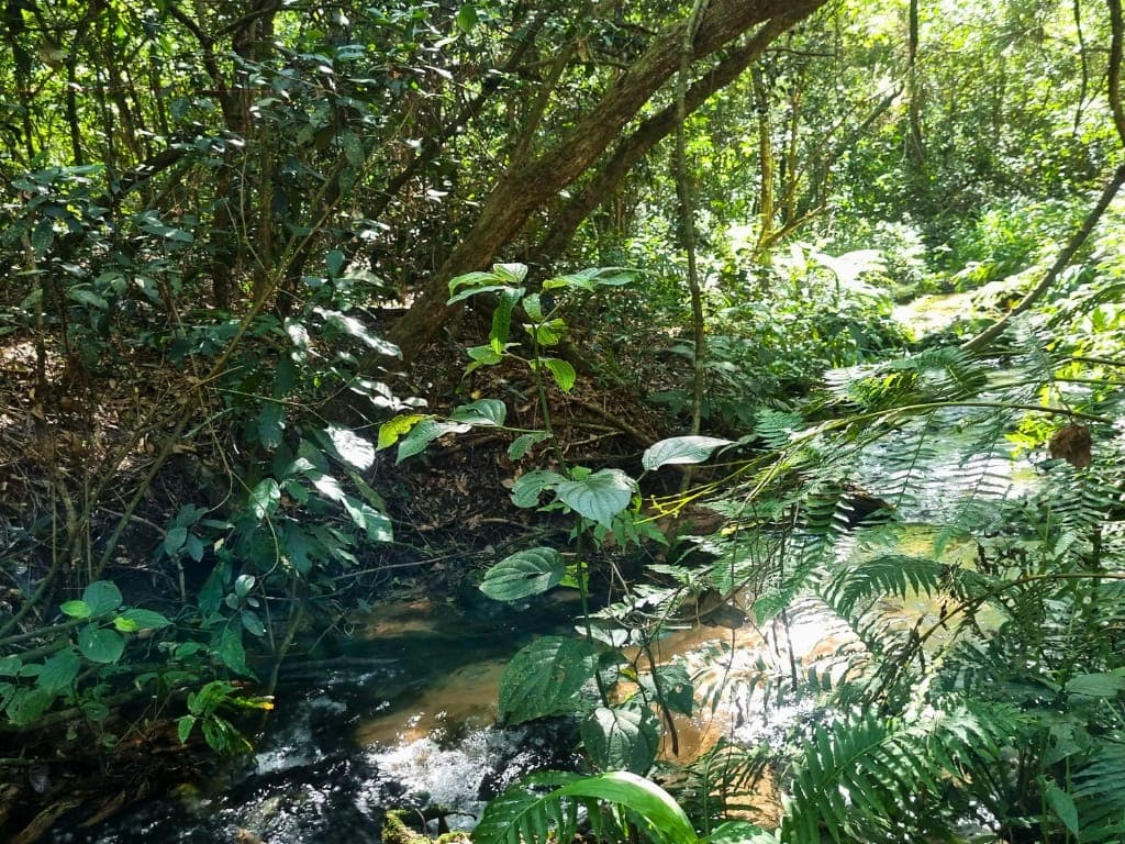AMPLIO TERRENO EN PIRIBEBUY RODEADO DE NATURALEZA