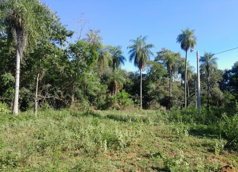 VENDO 12.8 HECTAREAS EN EMBOSCADA A PASOS DE RUTA 3