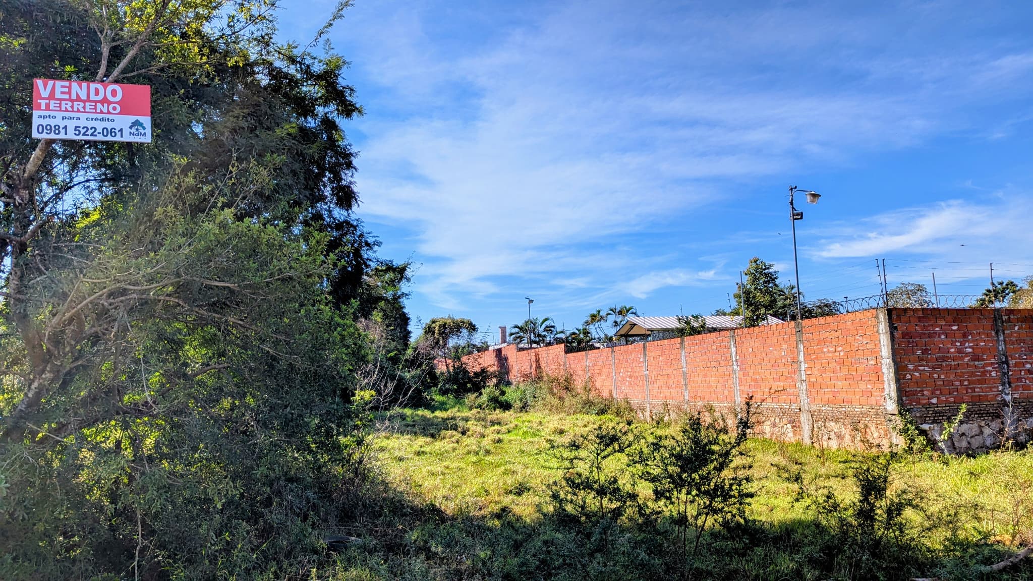 VENDO TERRENO EN MORA KUE - LUQUE