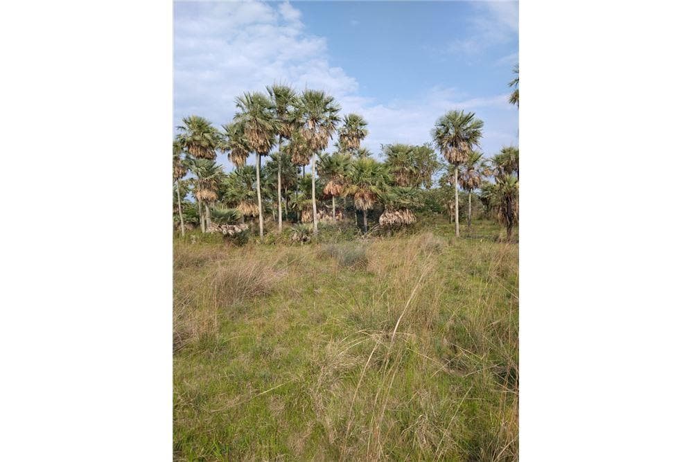 VENDO 353 HECTAREAS EN VILLA OLIVA S.H.Y – 2