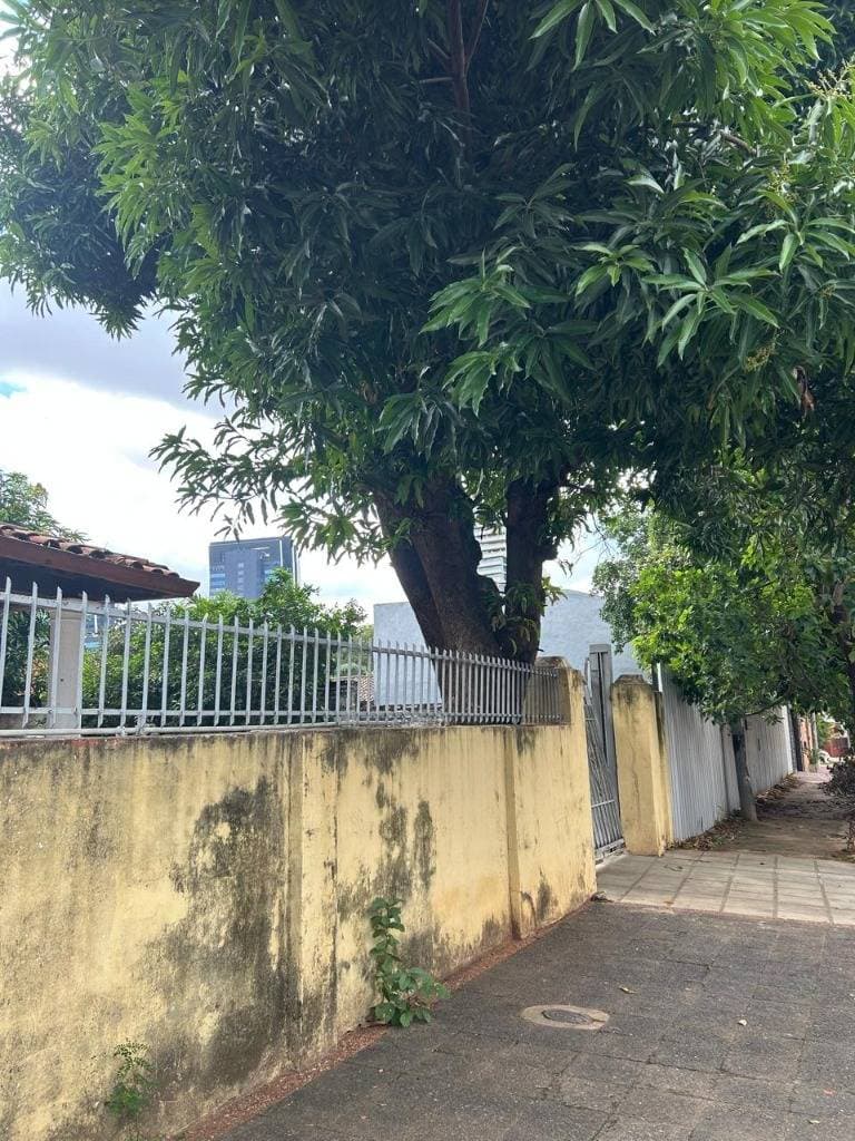 ‼️VENDO TERRENO EN YCUA SATI,EMETERIO MIRANDO