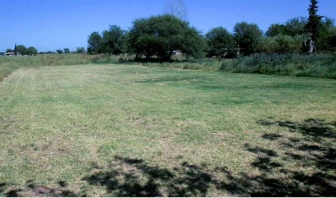 En Oferta! Terreno De 505 M2 En Surubi'I, Mariano Roque Alonso
