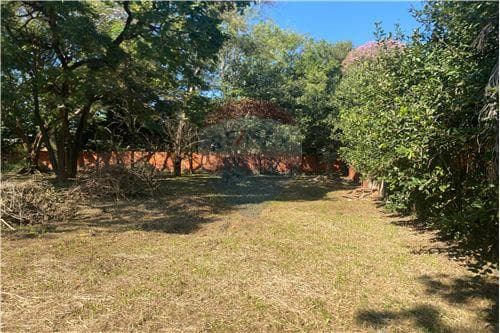TERRENO EN VENTA, SAN LORENZO – 2
