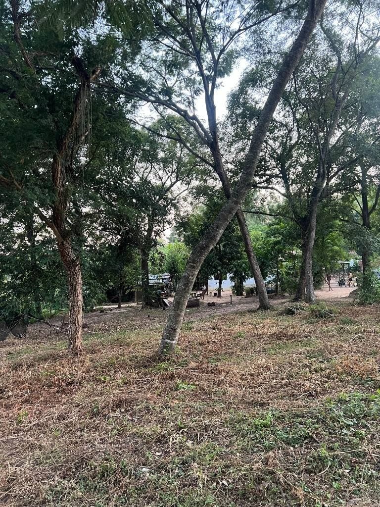 VENDO TERRENO EN LUQUE – 3