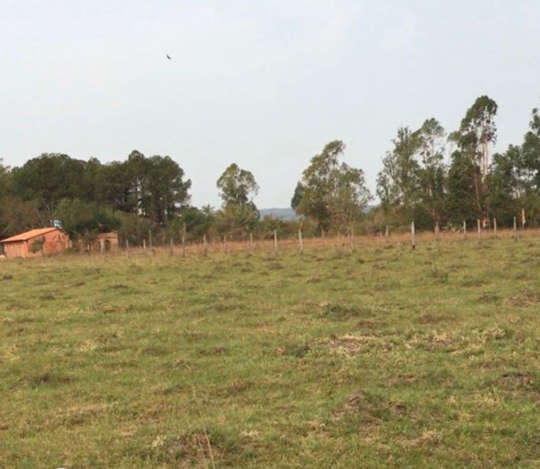 VENDO 2 TERRENOS en EL COTIJO ! SAN BER – 2
