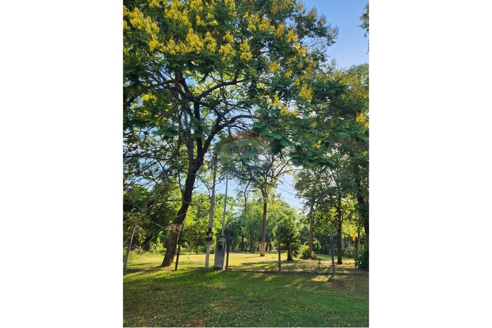 VENDO Casa Quinta en la ciudad de San Bernardino – 2