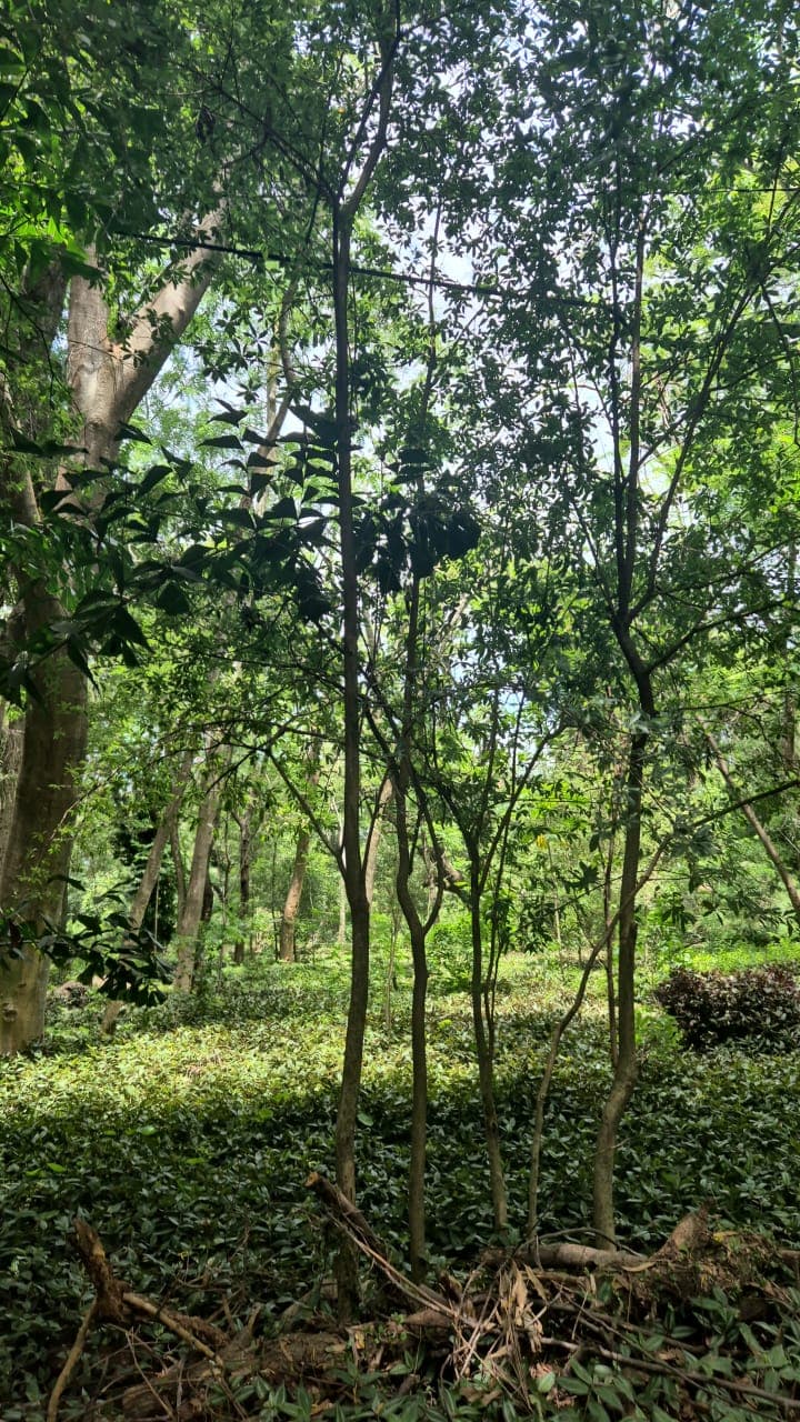 Terreno en Venta – Barrio Cerrado Surubí’í