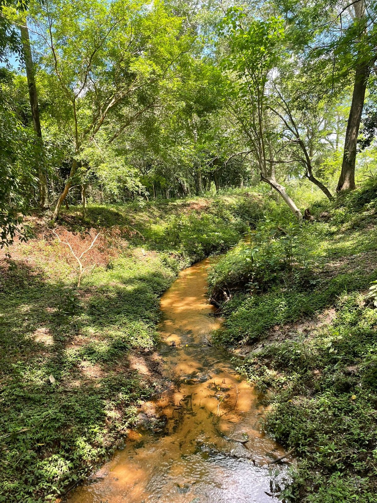 VENDO HERMOSA PROPIEDAD DE 7HAS EN YAGUARON