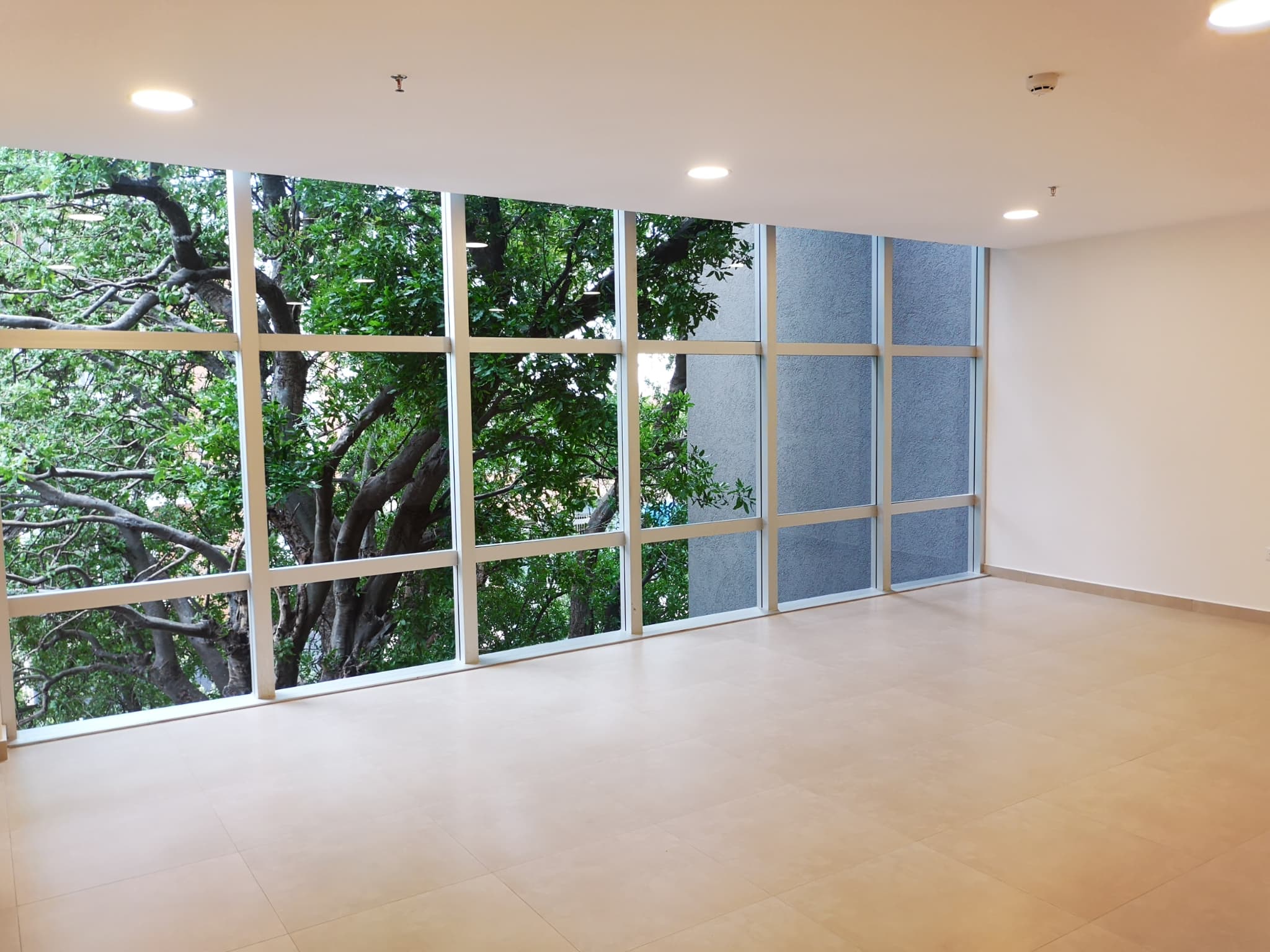 Luminosa Oficina De 69m2 En Imponente Edificio, Ideal Para Invertir